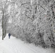 Žiemos takas 